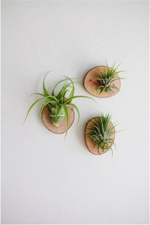 Drie airplanten aan de muur