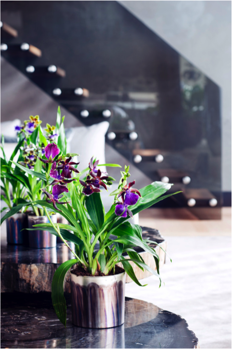 Fleurige paarse orchidee