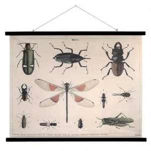 Vintage schoolkaart met insecten