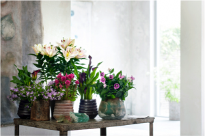 Een tafel voor fleurige planten