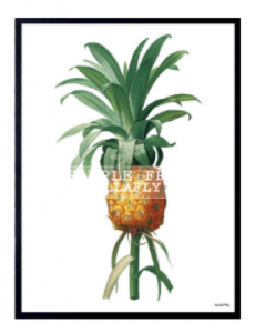 Poster van een ananas